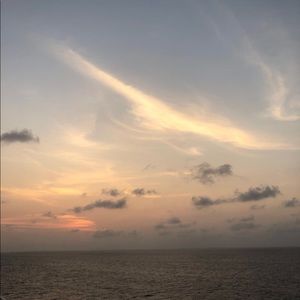 Meet your Posher, Tia